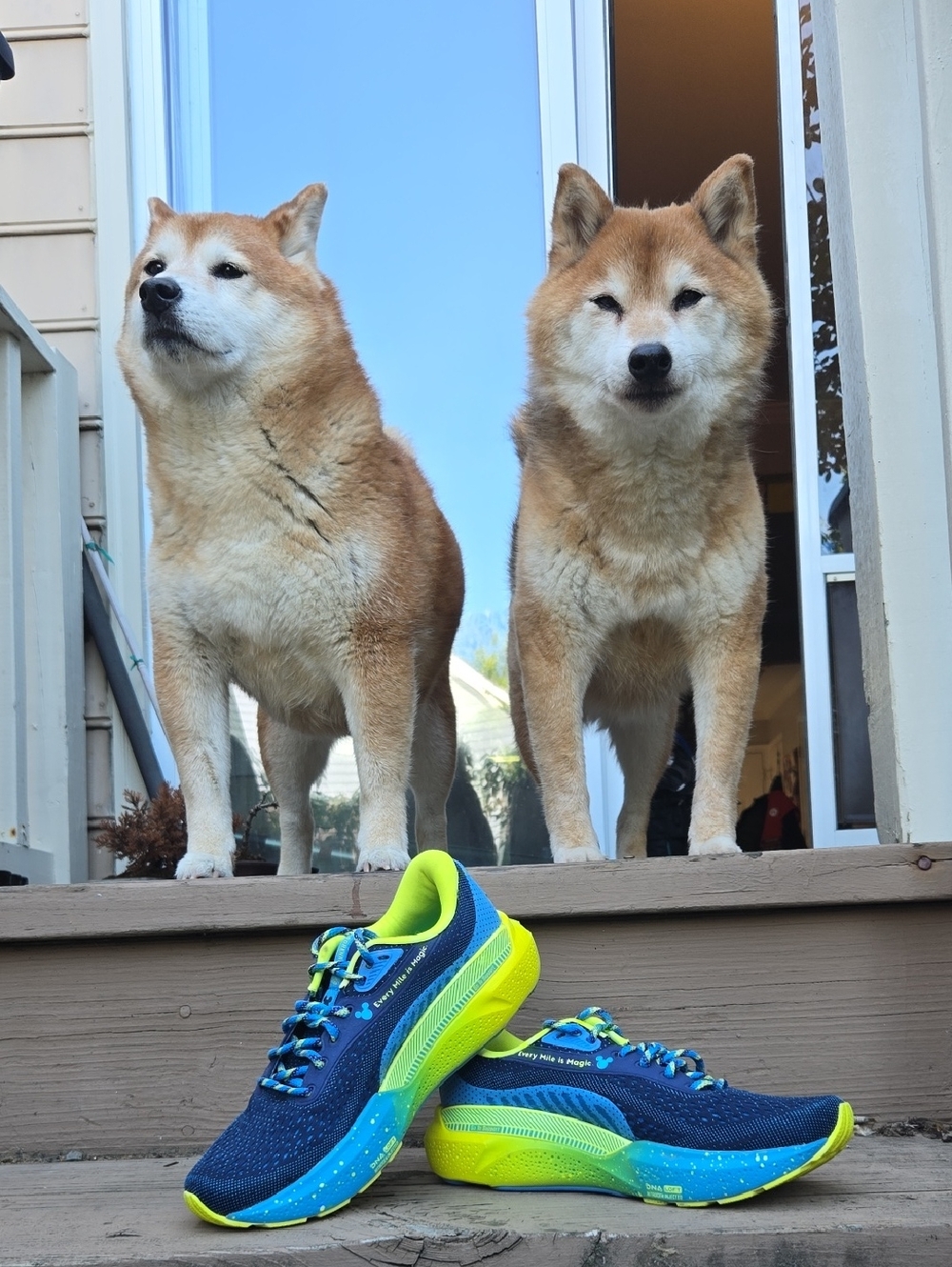 Brooks runDisney Adrenaline GTS 24